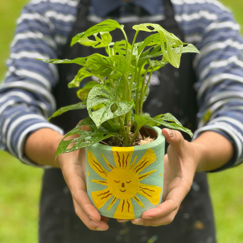 PAINT & PLANT (Sunday 28 September 2025 - 3.00 PM)
