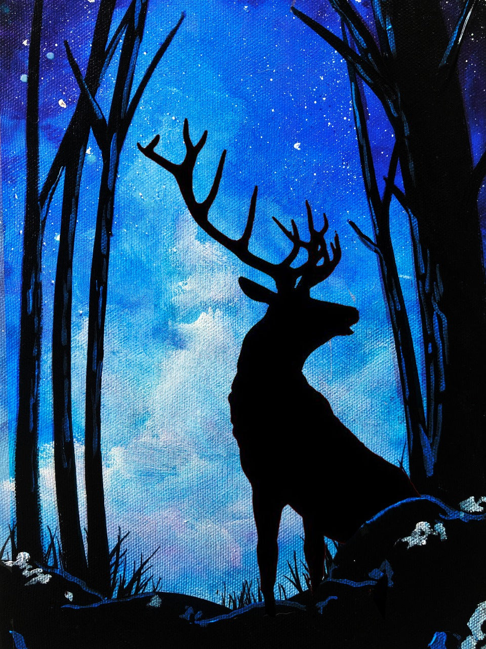FOREST SOLITUDE - GLOW IN THE DARK (Friday 15 December 2023 - 6.30 PM)