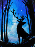 FOREST SOLITUDE - GLOW IN THE DARK (Friday 15 December 2023 - 6.30 PM)