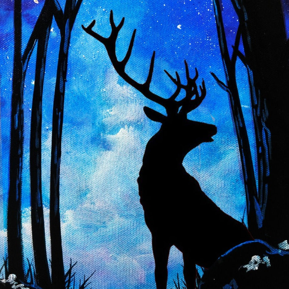 FOREST SOLITUDE - GLOW IN THE DARK (Friday 15 December 2023 - 6.30 PM)