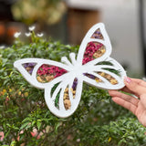 PICNIC & PAINT (Sunday 17 August 2025 - 3.30 PM)