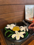 SUNDAY VINYL SESSION (Sunday 19 October 2025 - 3.00 PM)
