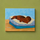 MAN'S BEST FRIEND (Saturday 8 August 2026 - 2.00 PM)