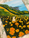 SUNNY DAY ON THE HILLS (Sunday 18 May 2025 - 2.00 PM)