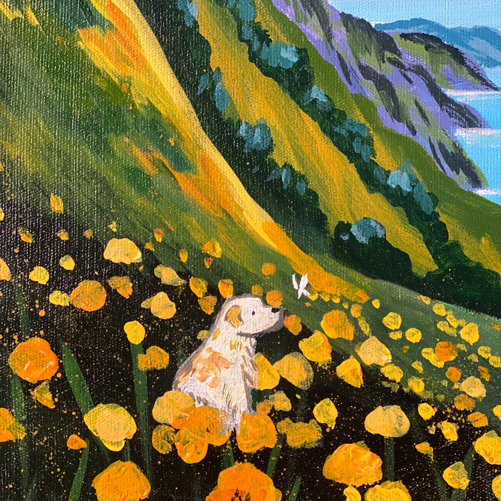 SUNNY DAY ON THE HILLS (Sunday 18 May 2025 - 2.00 PM)