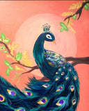 THE INDIAN PEAFOWL - HAPPY HOUR  (Wednesday 6 December 2023 - 2.00 PM & 7.00 PM)