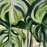 THE MONSTERA MADNESS (Sunday 28 December 2025 - 12.00 PM)