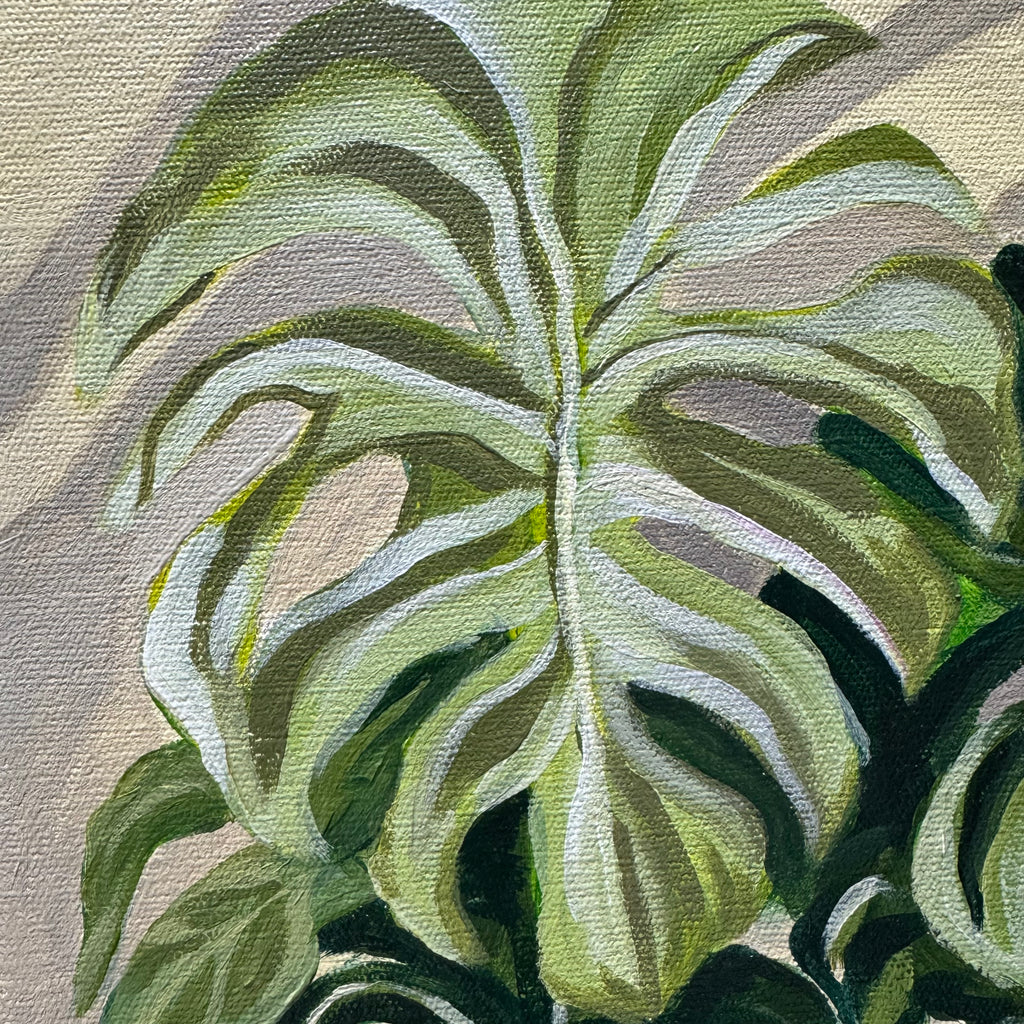 THE MONSTERA MADNESS (Sunday 28 December 2025 - 12.00 PM)