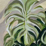 THE MONSTERA MADNESS (Sunday 28 December 2025 - 12.00 PM)