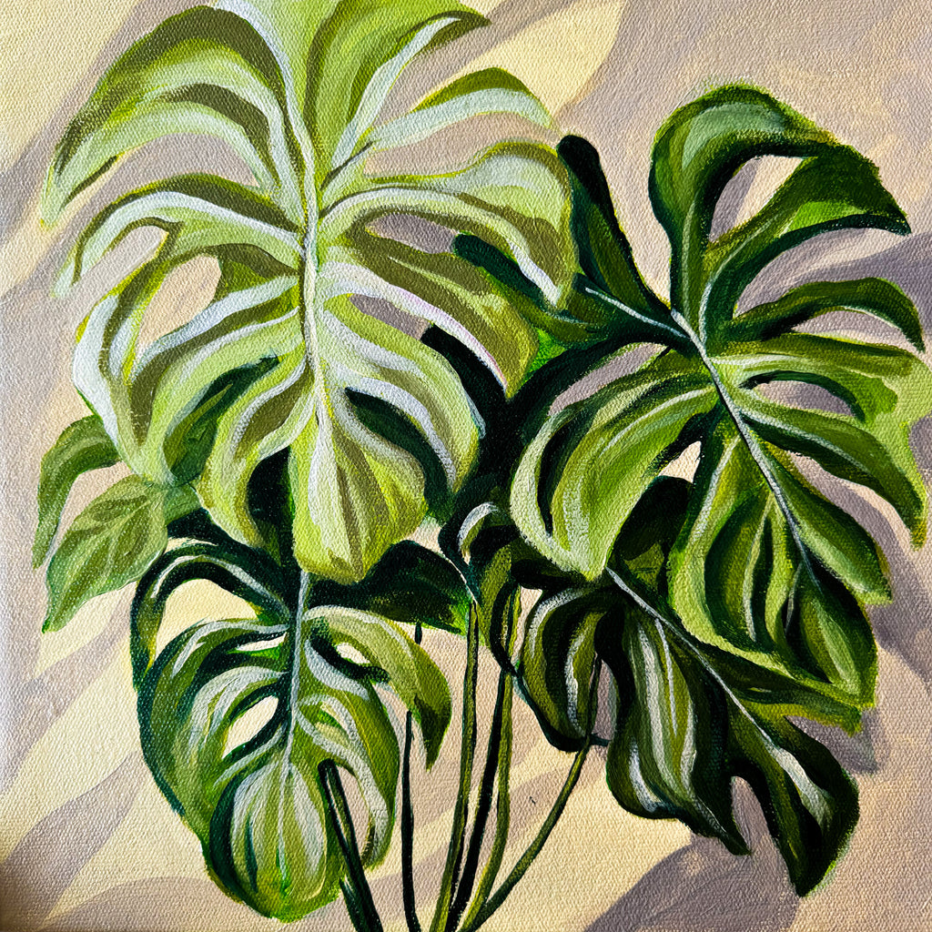 THE MONSTERA MADNESS (Sunday 28 December 2025 - 12.00 PM)